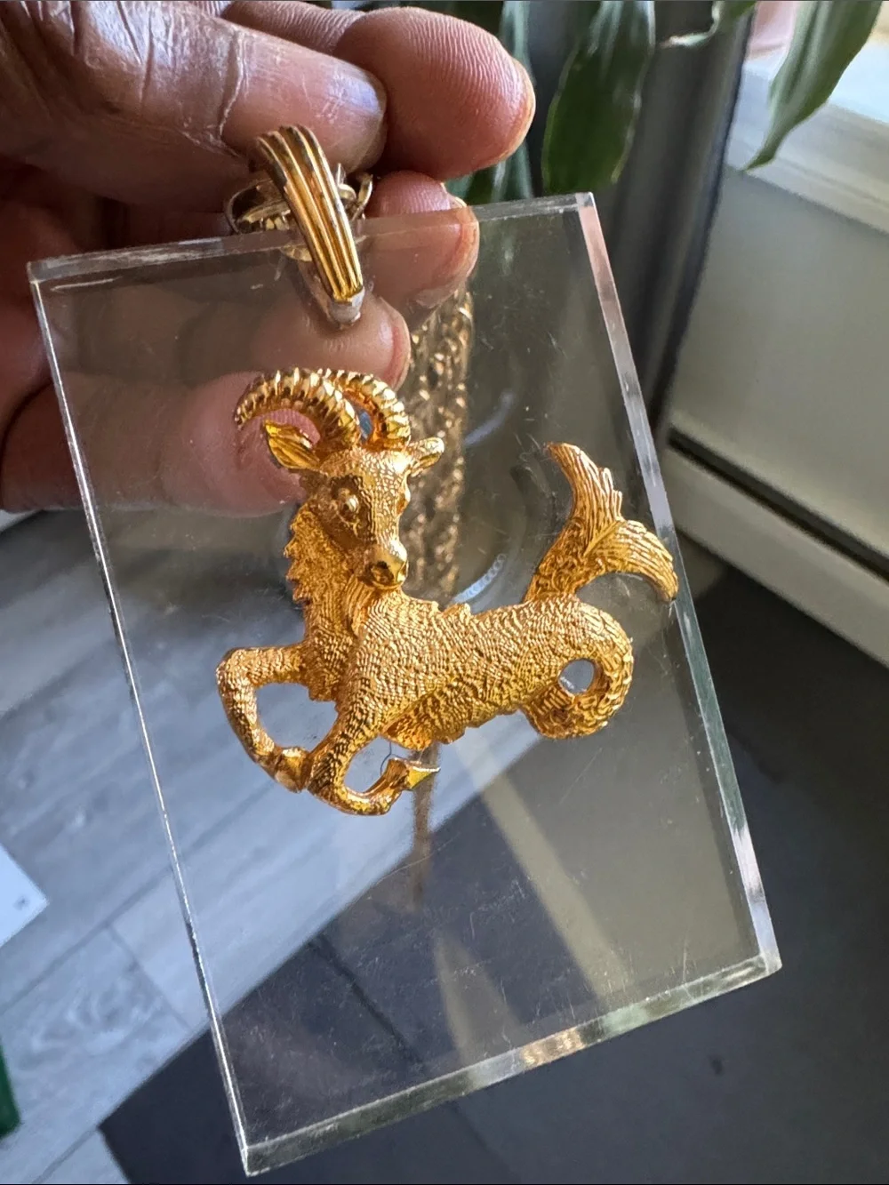 Vintage monet capricorn
